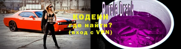 СК Новодвинск