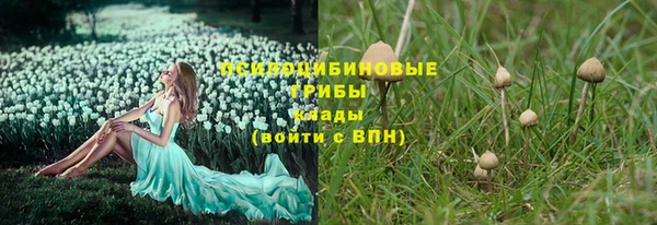 2c-b Няндома