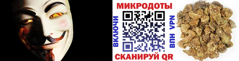 мега как войти  Костомукша  Псилоцибиновые грибы Cubensis 