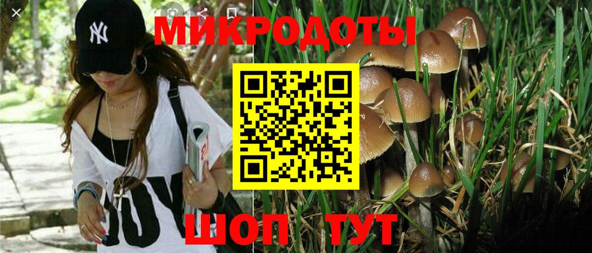 Костомукша  Псилоцибиновые грибы прущие грибы  цены   Вход с VPN  Галлюциногенные грибы GOLDEN TEACHER 