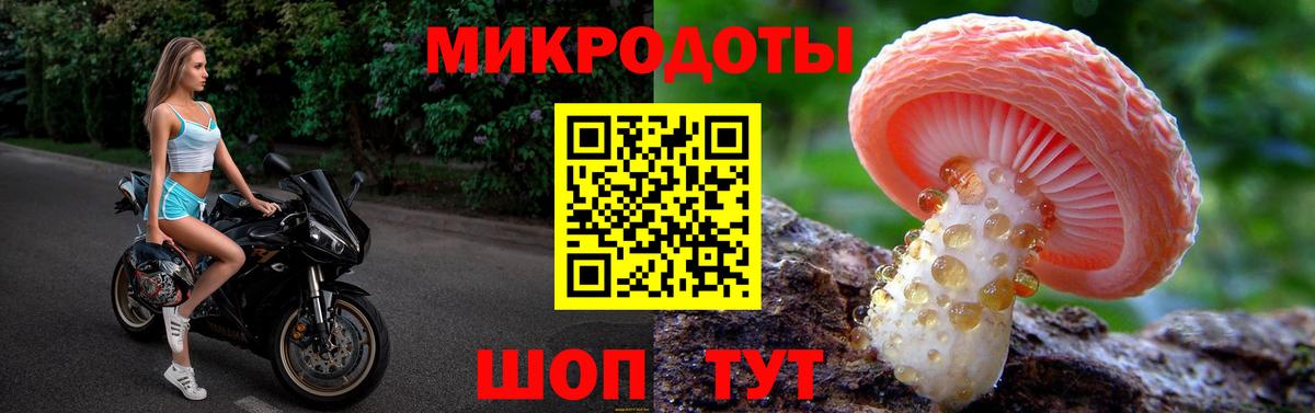 Псилоцибиновые грибы Psilocybe Костомукша